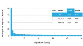 Analysis of a HuProt(TM) microarray containing more than 19,000 full-length human proteins using Tissue Inhibitor of Metalloproteinase 1 antibody (clone TIMP1/4358). Z- and S- Score: The Z-score represents the strength of a signal that a monoclonal antibody (in combination with a fluorescently-tagged anti-IgG