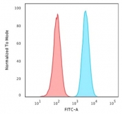 Flow testing of PFA-fixed human HeLa cells with HSP60 antibody (clone CPTC-HSPD1-1); Red=isotype control, Blue= HSP60 antibody.