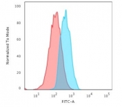 Flow cytometry testing of human MCF7 cells with E-Cadherin antibody (clone CDH1/3256); Red=isotype control, Blue= E-Cadherin antibody.