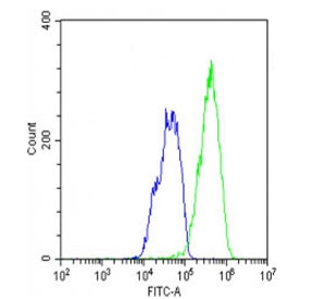 RNF4 Antibody / E3 Ubiquitin-Protein Ligase RNF4 Antibody for FACS. Flow cytometry analysis of RNF4 in permeabilized human HepG2 cells. Flow cytometric analysis of fixed and permeabilized human HepG2 cells stained with RNF4 Antibody / E3 Ubiquitin-Protein Ligase RNF4 Antibody shows a clear rightward shift of the RNF4-positive population (green) relative to isotype control (blue). The signal reflects intracellular detection of this nuclear E3 ubiquitin ligase, consistent with its role in SUMO-targeted ubiquitination and regulation of protein turnover pathways.
