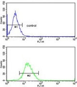 Flow cytometry testing of human NCI-H292 cells with Protein disulfide-isomerase A3 antibody; Blue=isotype control, Green= Protein disulfide-isomerase A3 antibody.