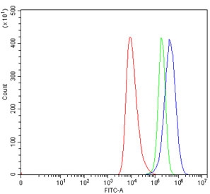 Flow cytometry testing of human HEL cells with TRAM1L1 antibody at 1ug/million cells (blocked with goat sera); Red=cells alone, Green=isotype control, Blue= TRAM1L1 antibody.