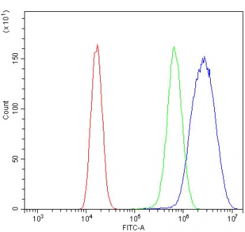 Flow cytometry testing of human 293T cells with Integrin alpha 8 antibody at 1ug/million cells (blocked with goat sera); Red=cells alone, Green=isotype control, Blue= Integrin alpha 8 antibody.