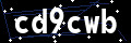 Captchapackage Image