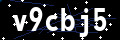 Captchapackage Image