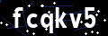 Captchapackage Image
