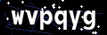 Captchapackage Image