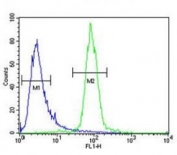 RPEL1 antibody flow cytometric analysis of K562 cells (green) compared to a negative control cell (blue). FITC-conjugated goat-anti-rabbit secondary Ab was used for the analysis.