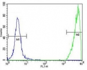 GNAS antibody flow cytometric analysis of 293 cells (green) compared to a negative control cell (blue). FITC-conjugated goat-anti-rabbit secondary Ab was used for the analysis.
