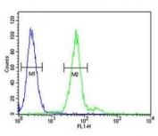 TPSAB1 antibody flow cytometric analysis of 293 cells (green) compared to a negative control cell (blue). FITC-conjugated goat-anti-rabbit secondary Ab was used for the analysis.
