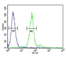 TPSAB1 antibody flow cytometric analysis of 293 cells (green) compared to a negative control cell (blue). FITC-conjugated goat-anti-rabbit secondary Ab was used for the analysis.