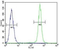 IGF1 antibody flow cytometric analysis of A549 cells (green) compared to a negative control cell (blue). FITC-conjugated goat-anti-rabbit secondary Ab was used for the analysis.