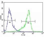 CYP26A1 antibody flow cytometric analysis of NIH3T3 cells (green) compared to a negative control cell (blue). FITC-conjugated goat-anti-rabbit secondary Ab was used for the analysis.