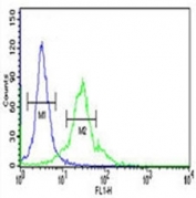SPHK1 antibody flow cytometric analysis of 293 cells (right histogram) compared to a negative control cell (left histogram). FITC-conjugated goat-anti-rabbit secondary Ab was used for the analysis.