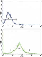 Flow cytometric analysis of HeLa cells using cKit antibody (green) compared to a negative control cell (blue). FITC-conjugated goat-anti-rabbit secondary Ab was used for the analysis.