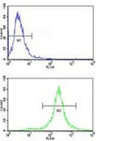 Flow cytometric analysis of NCI-H460 cells using c-Kit antibody (green) compared to a negative control cell (blue). FITC-conjugated goat-anti-rabbit secondary Ab was used for the analysis.