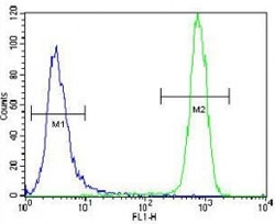 c-Kit antibody flow cytometric analysis of NCI-H460 cells (green) compared to a negative control cell (blue). FITC-conjugated goat-anti-rabbit secondary Ab was used for the analysis.
