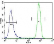 c-Kit antibody flow cytometric analysis of NCI-H460 cells (green) compared to a negative control cell (blue). FITC-conjugated goat-anti-rabbit secondary Ab was used for the analysis.