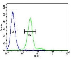 CD117 antibody flow cytometric analysis of 293 cells (green) compared to a negative control cell (blue). FITC-conjugated goat-anti-rabbit secondary Ab was used for the analysis.~