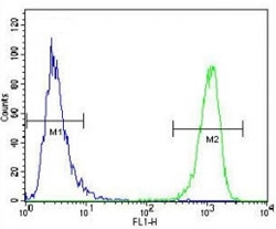 MUC20 antibody flow cytometric analysis of WiDr cells (right histogram) compared to a negative control cell (left histogram). FITC-conjugated goat-anti-rabbit secondary Ab was used for the analysis.