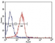 ITGA6 antibody flow cytometric analysis of HepG2 cells (red) compared to a negative control cell (blue). PE-conjugated goat-anti-mouse secondary Ab was used for the analysis.