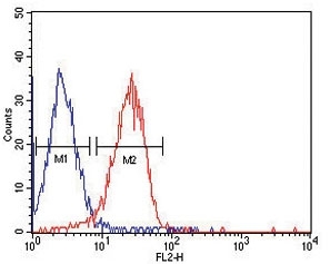 ITA6 antibody flow cytometric analysis of HepG2 cells (red) compared to a negative control cell (blue).PE-conjugated goat-anti-mouse secondary Ab was used for the analysis.