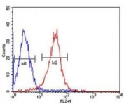 ALDH2 antibody flow cytometric analysis of HepG2 cells (red) compared to a negative control cell (blue). PE-conjugated goat-anti-mouse secondary Ab was used for the analysis.