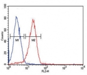 CD44 antibody flow cytometric analysis of HeLa cells (right histogram) compared to a negative control cell (left histogram).