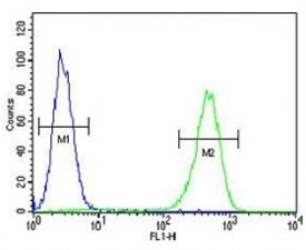 AMACR antibody flow cytometric analysis of MDA-MB231 cells (green) compared to a <a href=../search_result.php?search_txt=n1001>negative control</a> (blue). FITC-conjugated goat-anti-rabbit secondary Ab was used for the analysis.