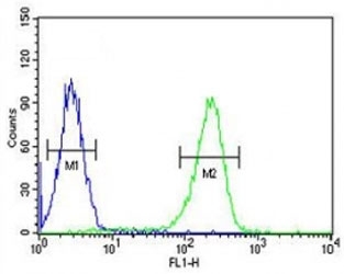 CXCR3 antibody flow cytometric analysis of K562 cells (green) compared to a <a href=../search_result.php?search_txt=n1001>negati