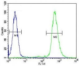 RPS6 antibody flow cytometric analysis of WiDr cells (green) compared to a <a href=../search_result.php?search_txt=n1001>negative control</a> (blue). FITC-conjugated goat-anti-rabbit secondary Ab was used for the analysis.