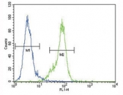 Dnmt1 antibody flow cytometric analysis of MDA-MB435 cells (right histogram) compared to a negative control (left histogram). FITC-conjugated goat-anti-rabbit secondary Ab was used for the analysis.