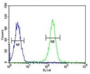 PAX1 antibody flow cytometric analysis of K562 cells (right histogram) compared to a negative control (left histogram)