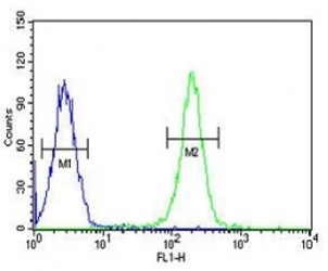 PAX1 antibody flow cytometric analysis of K562 cells (right histogram) compared to a negative control (l