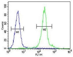 IL-12B antibody flow cytometric analysis of MDA-MB435 cells (green) compared to a <a href=../search_result.php?search_txt=n1001>negative control</a> (blue). FITC-conjugated goat-anti-rabbit secondary Ab was used for the analysis.~