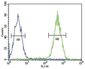CD11b antibody flow cytometric analysis of Jurkat cells (right histogram) compared to a negative control cell (left histogram). FITC-conjugated goat-anti-rabbit secondary Ab was used for the analysis.