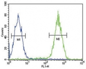 CD11b antibody flow cytometric analysis of Jurkat cells (right histogram) compared to a negative control cell (left histogram). FITC-conjugated goat-anti-rabbit secondary Ab was used for the analysis.