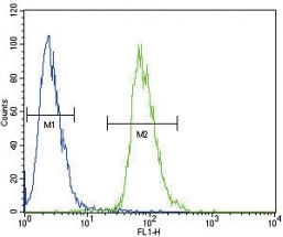 ETV5 antibody flow cytometric analysis of 293 cells (green) compared to a <a href=../search_result.php?search_txt=n100