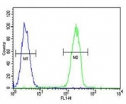 Caspase-5 antibody flow cytometric analysis of MDA-MB231 cells (right histogram) compared to a negative control cell (left histogram). FITC-conjugated goat-anti-rabbit secondary Ab was used for the analysis.