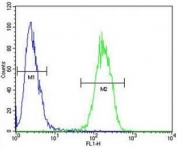 IL17F antibody flow cytometric analysis of 293 cells (right histogram) compared to a negative control (left histogram). FITC-conjugated goat-anti-rabbit secondary Ab was used for the analysis.