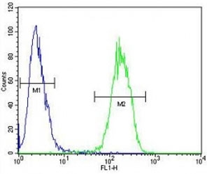 IL17F antibody flow cytometric analysis of 293 cells (right histogram) compared
