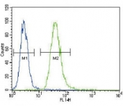 TNFR1 antibody flow cytometric analysis of A549 cells (green) compared to a negative control (blue). FITC-conjugated goat-anti-rabbit secondary Ab was used for the analysis.