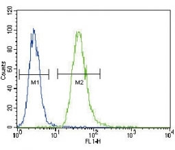 TNFR1 antibody flow cytometric analysis of A549 cells (green) compared to a <a href=../search_result.php?search_txt=n1001>negative control</a> (blue). FITC-conjugated goat-anti-rabbi