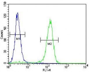 Cyclin C antibody flow cytometric analysis of HeLa cells (right histogram) compared to a negative control (left histogram). FITC-conjugated goat-anti-rabbit secondary Ab was used for the analysis.~