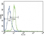 JAK2 antibody flow cytometric analysis of K562 cells (green) compared to a negative control (blue). FITC-conjugated goat-anti-rabbit secondary Ab was used for the analysis.