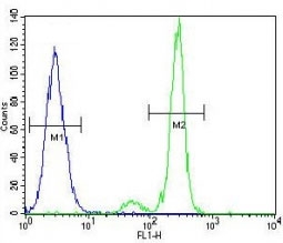 TNFR antibody flow cytometric analysis of A549 cells (green) compared to a <a href=../search_result.php?search_txt=n1001>negative control</a> (blue). FITC-conjugated goat-anti-rabbit secondary Ab was used for the analysis.