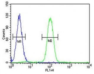 SP1 antibody flow cytometric analysis of K562 cells (right histogram) compared to a negative control (left histogram). FITC-conjugated goat-anti-rabbit secondary Ab was used for the analysis.