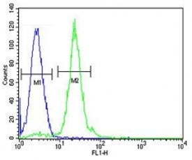 CPT1C antibody flow cytometric analysis of HL-60 cells (green) compared to a <a href=../search_result.php?search_txt=n1001>negative control</a