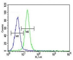 LIN28 antibody flow cytometric analysis of MDA-MB435 cells (green) compared to a <a href=../search_result.php?search_txt=n1001>negative control</a> (blue). FITC-conjugated goat-anti-rabbit secondary Ab was used for the analysis.