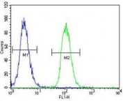MITF antibody flow cytometric analysis of K562 cells (right histogram) compared to a negative control (left histogram)